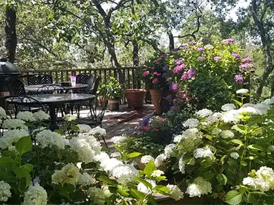 Garden Designs, Windsor, CO