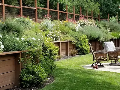 Garden Renovations, Berthoud, CO